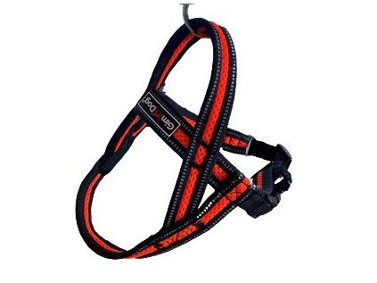 Postroj Gimborn Mesh Y 2,5 x 70 72 - 90 cm oranžový