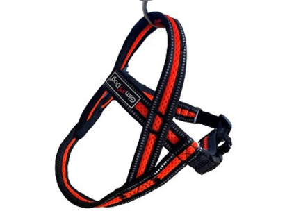 Postroj Gimborn Mesh Y 1,5 x 40 40-45 cm oranžový