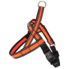 Postroj Gimborn Mesh Y 2,0 x 45 52-60 cm oranžový