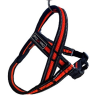 Postroj Gimborn Mesh Y 1,5 x 40 40-45 cm oranžový