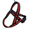 Postroj Gimborn Mesh Y 3,2 x 75 80-100cm oranžový
