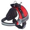Postroj FERPLAST HERCULES HARNESS RED XL