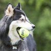 KONG Airdog hračka tenisový míč XL