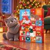 358177 cat maskot vanoce